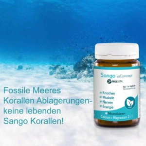 Sango Koralle, fossile Ablagerungen, basisch, Remineralisieren