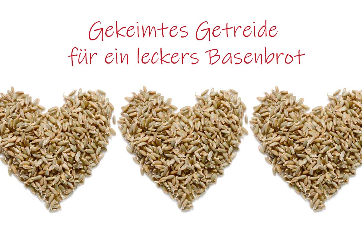 gekeimtes Getreide