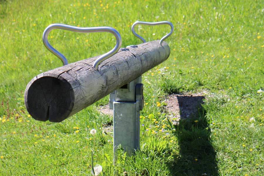 Säure Basen Haushalt